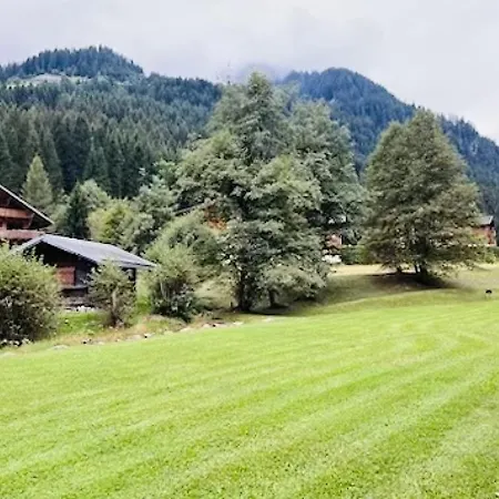 Au Pied Des Pistes Châtel